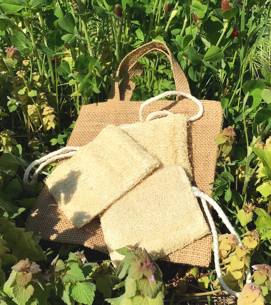 Natural Loofah Biodegradable Sponge