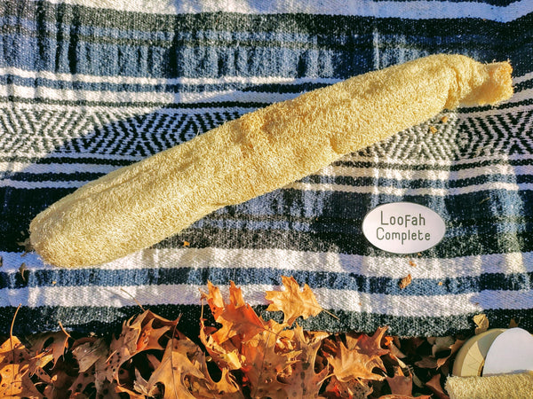 Natural Loofah Biodegradable Sponge